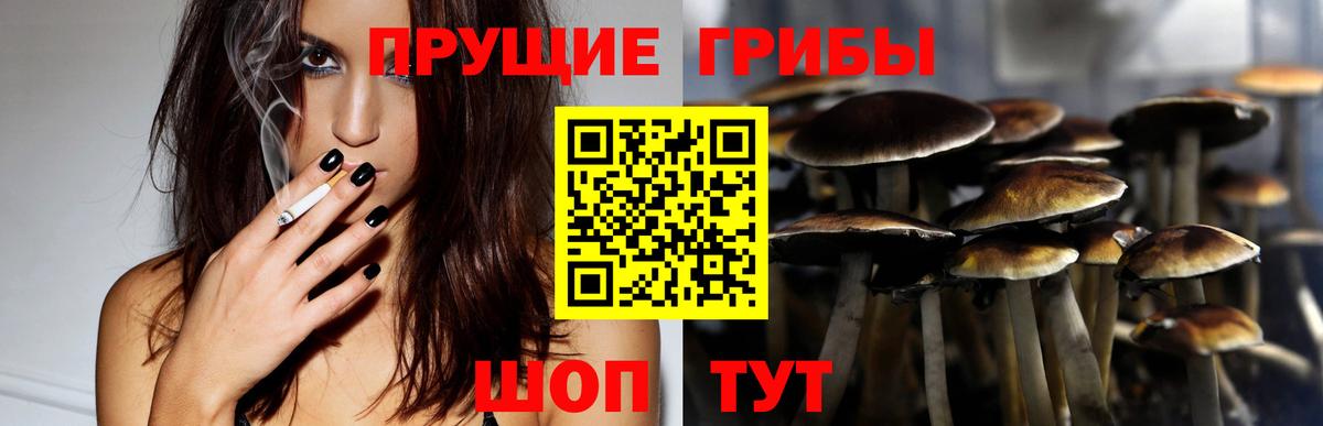 Псилоцибиновые грибы Psilocybe  Вход с VPN  Анапа 